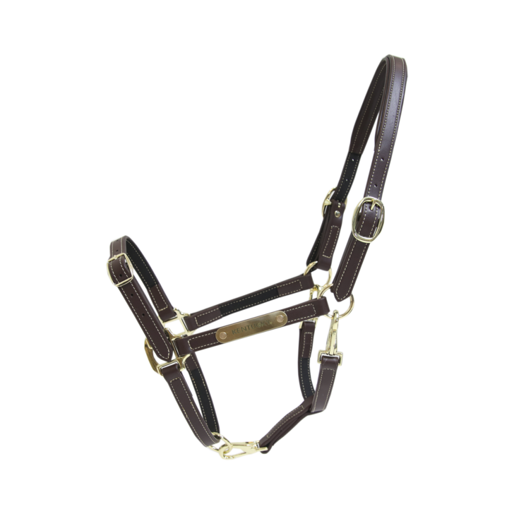 product shot image of the kentucky horsewear leather headcollar flexible brown