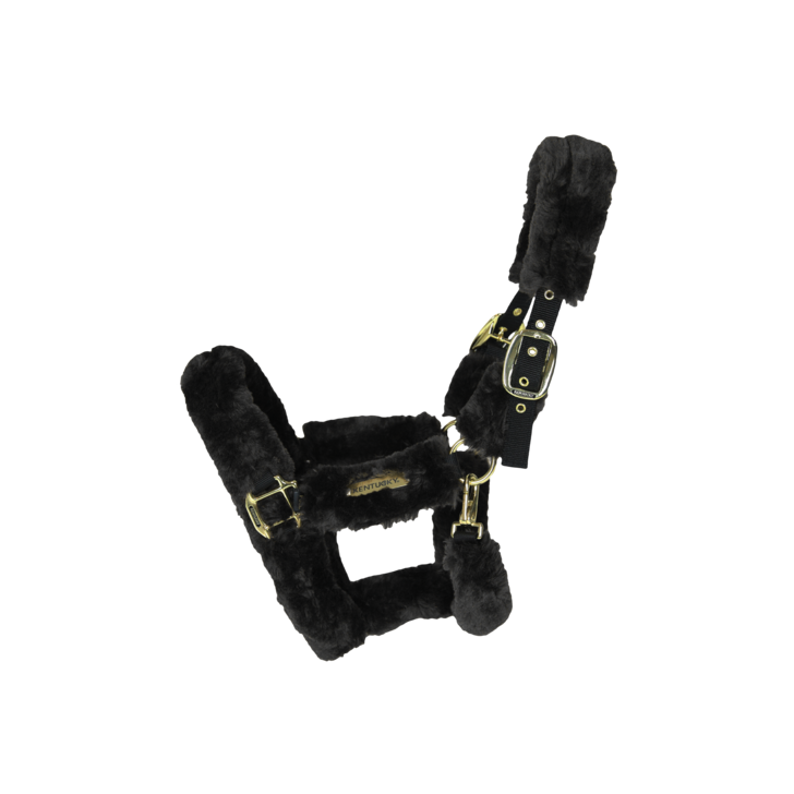 product shot image of the kentucky horsewear sheepskin headcollar black