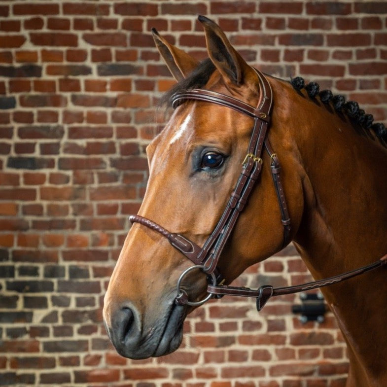 product shot image of the Leather Covered Rope Noseband Bridle
