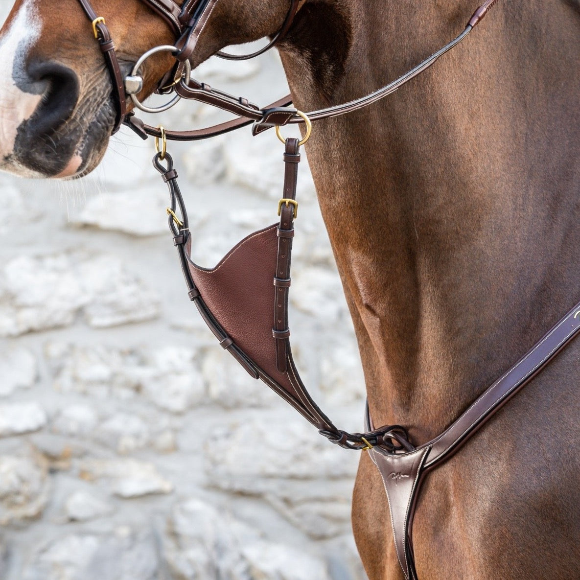 product shot image of the D Collection Soft Bib Martingale Attachment