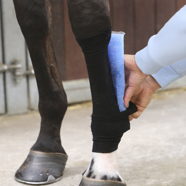 product shot image of the Tendon Grip Sock - Black