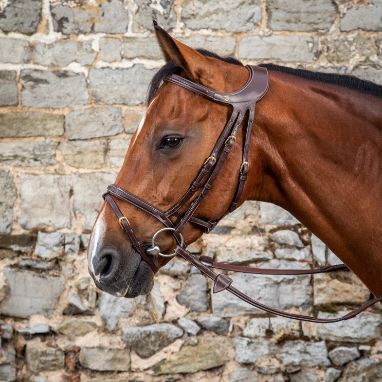 product shot image of the Difference Bridle