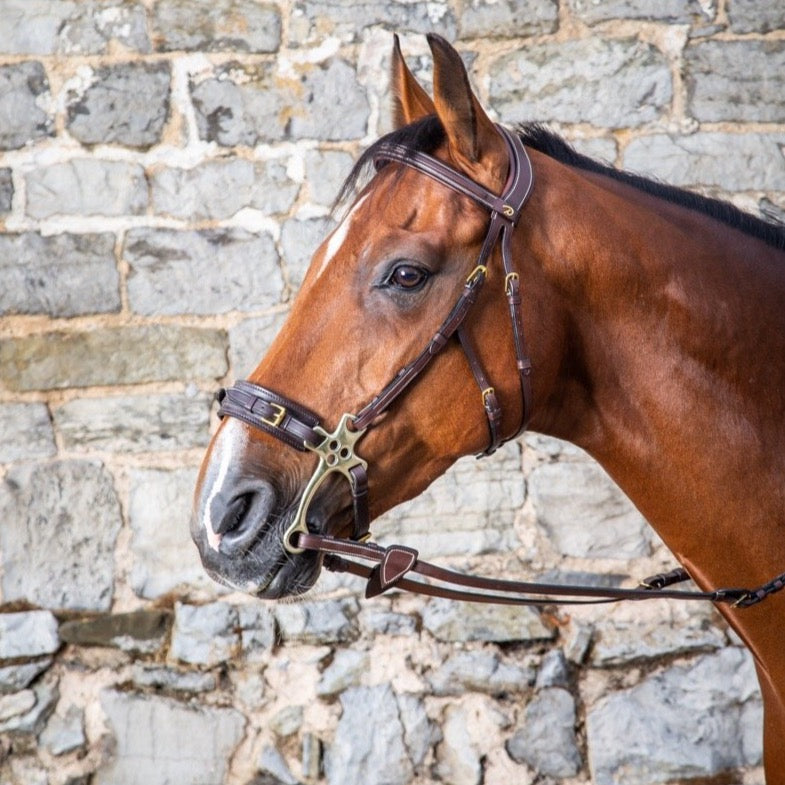 product shot image of the Hackamore Bridle