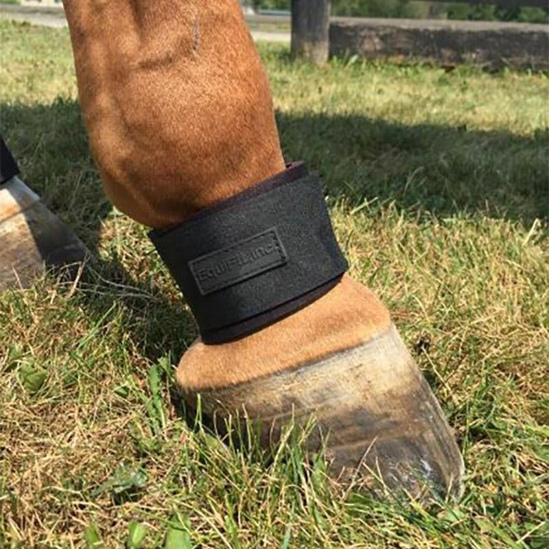 product shot image of the Pastern Wrap