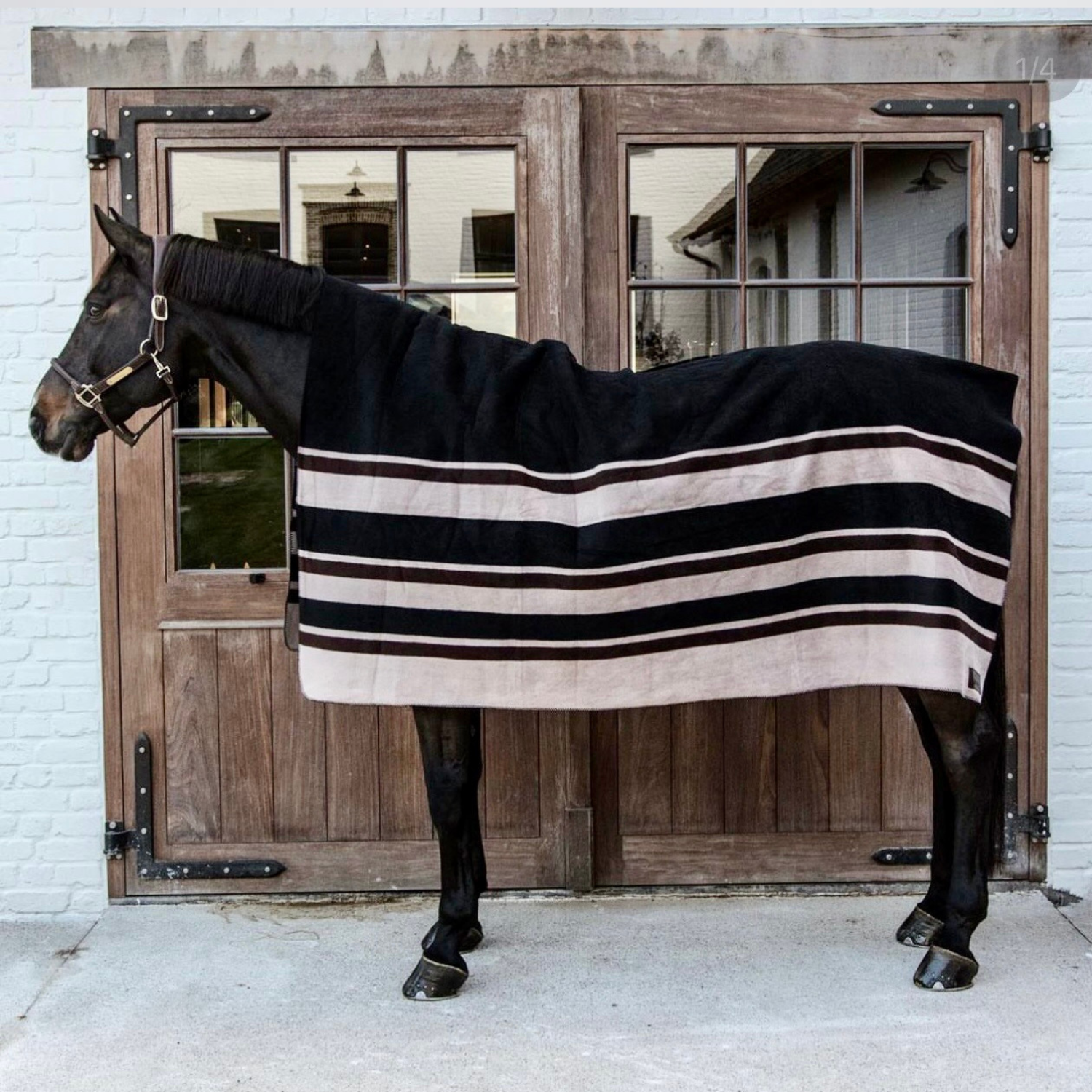 Kentucky Horsewear's New Heavy Fleece Rug: Cozy Comfort and Super Stylish