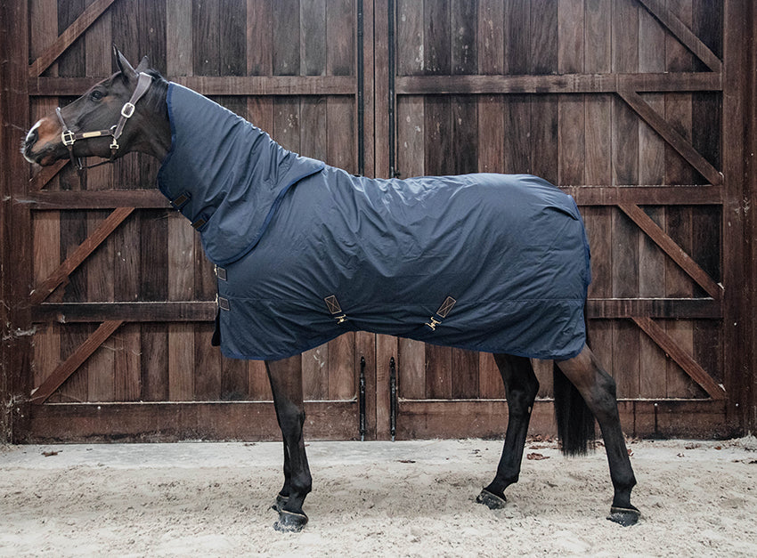 The New Hurricane Turnout Rug