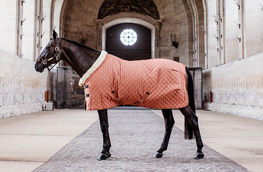 20% Off Kentucky Rugs  - Limited Stock