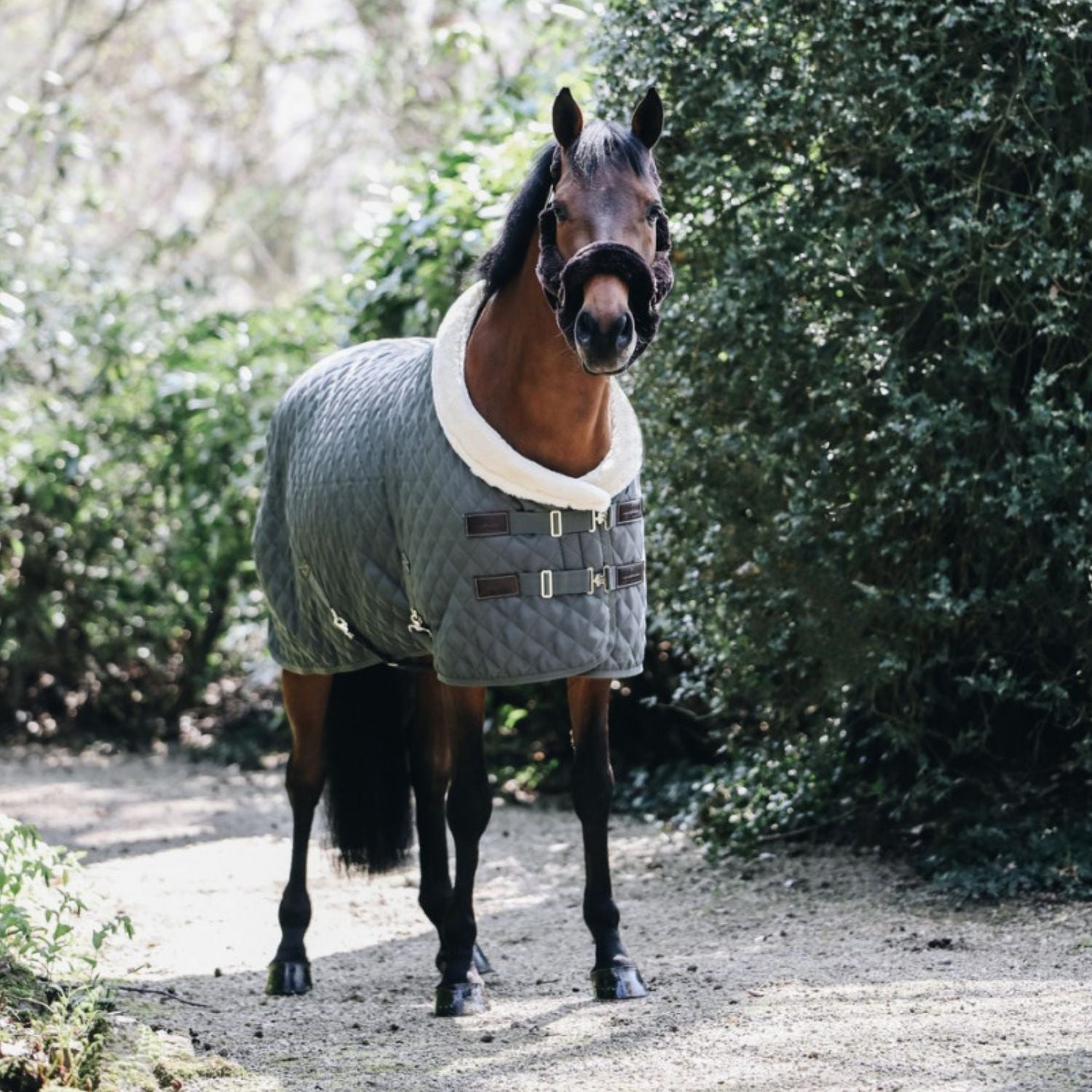 Keep your horses warm this winter