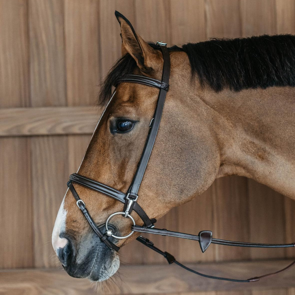 Working Collection Training Bridle