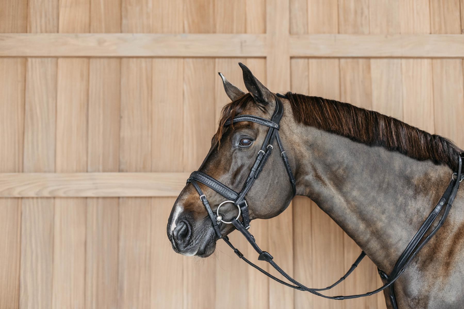 New English Collection Plaited Flash Noseband Bridle with Pull Back