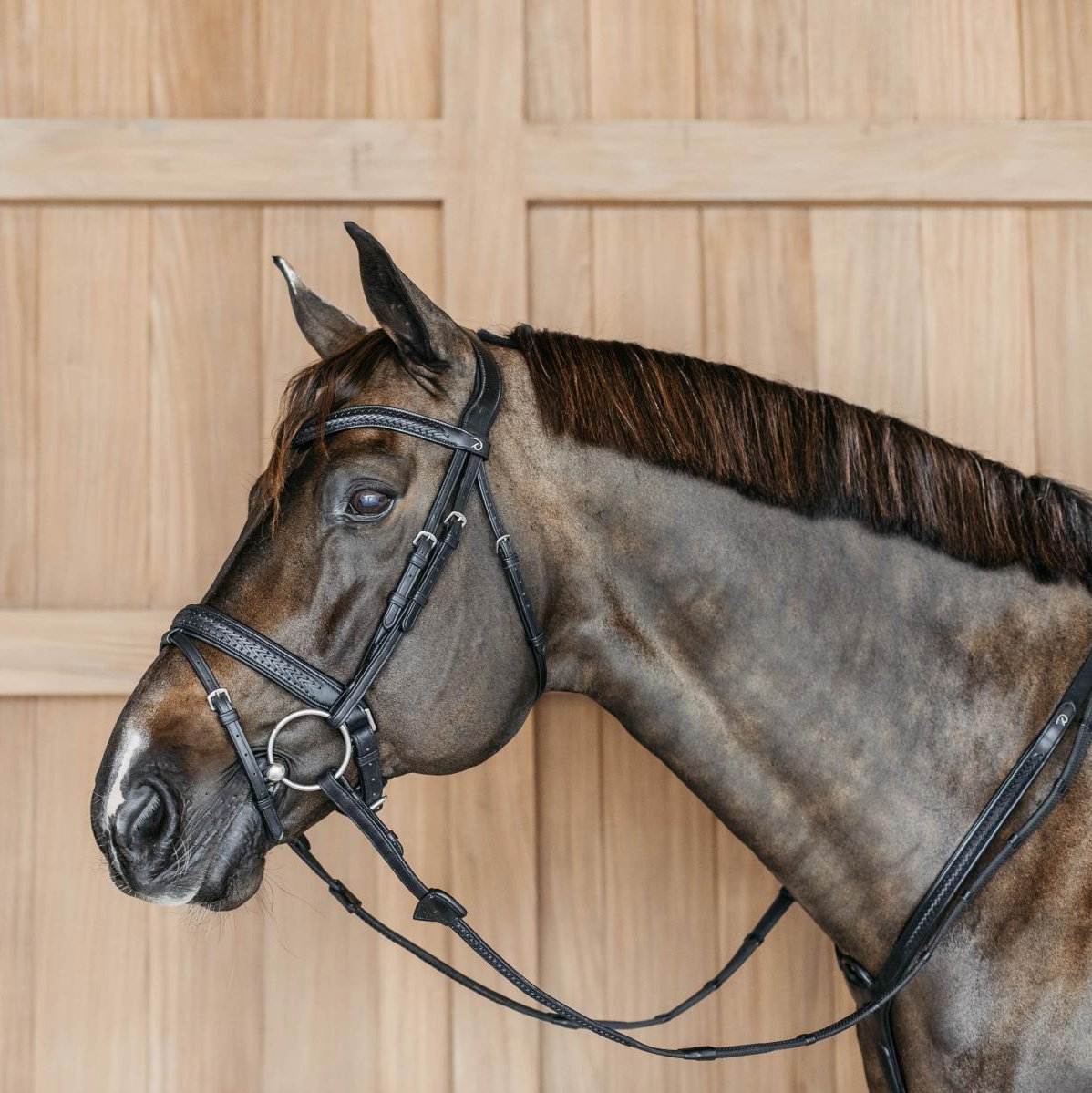 New English Collection Plaited Flash Noseband Bridle with Pull Back