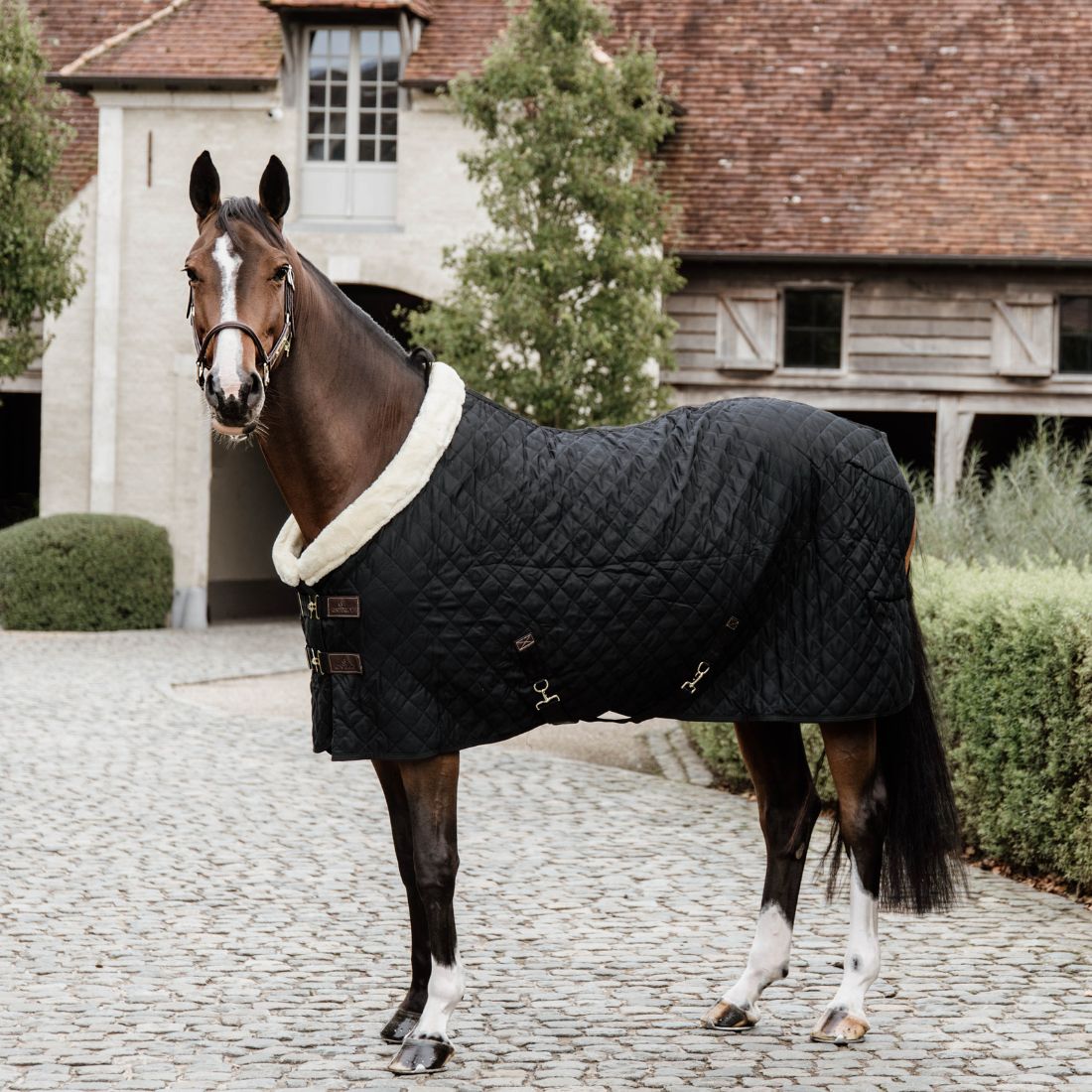 Show Rug - Black