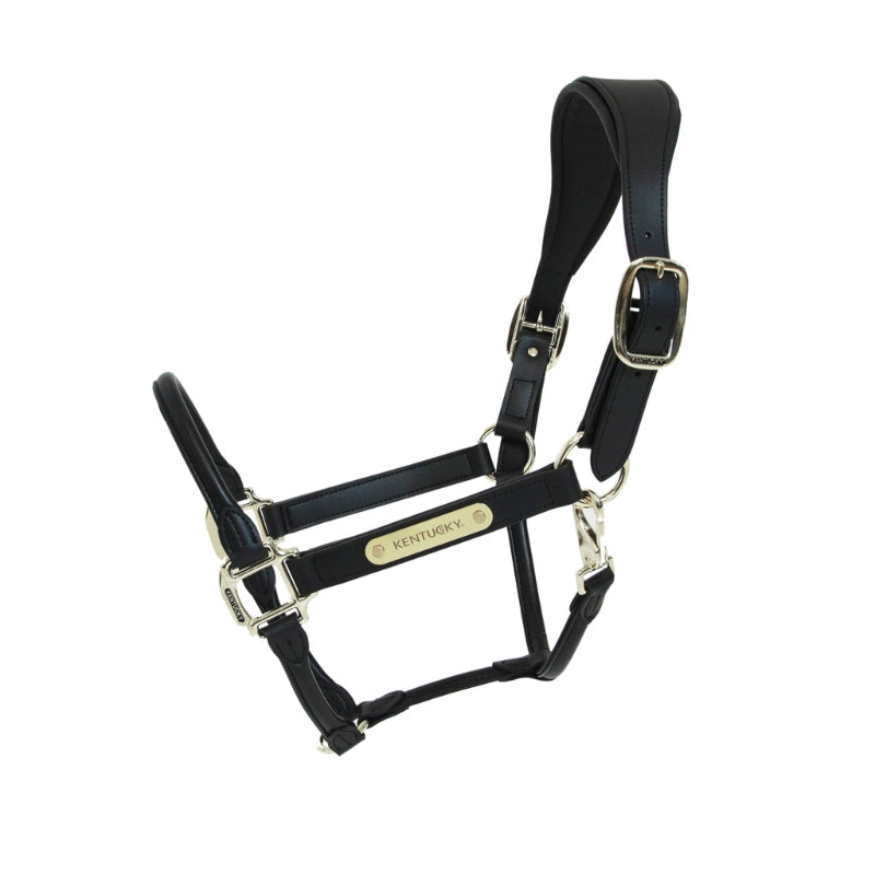 Anatomic Leather Halter - Black