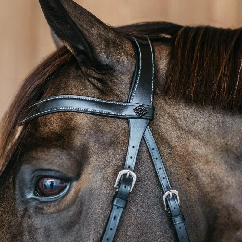 Working Collection Bitless Bridle