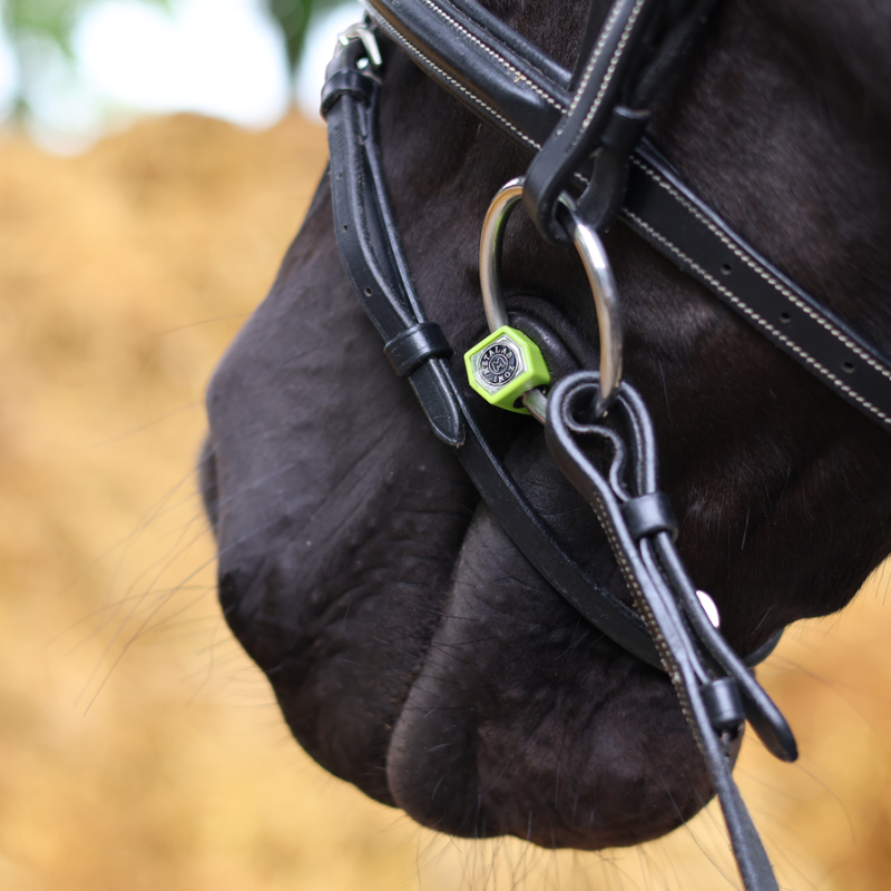 Flexi Soft Loose Ring Ported Snaffle