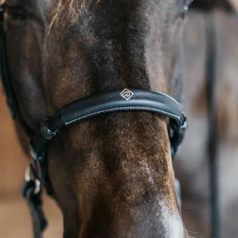 Working Collection Bitless Bridle