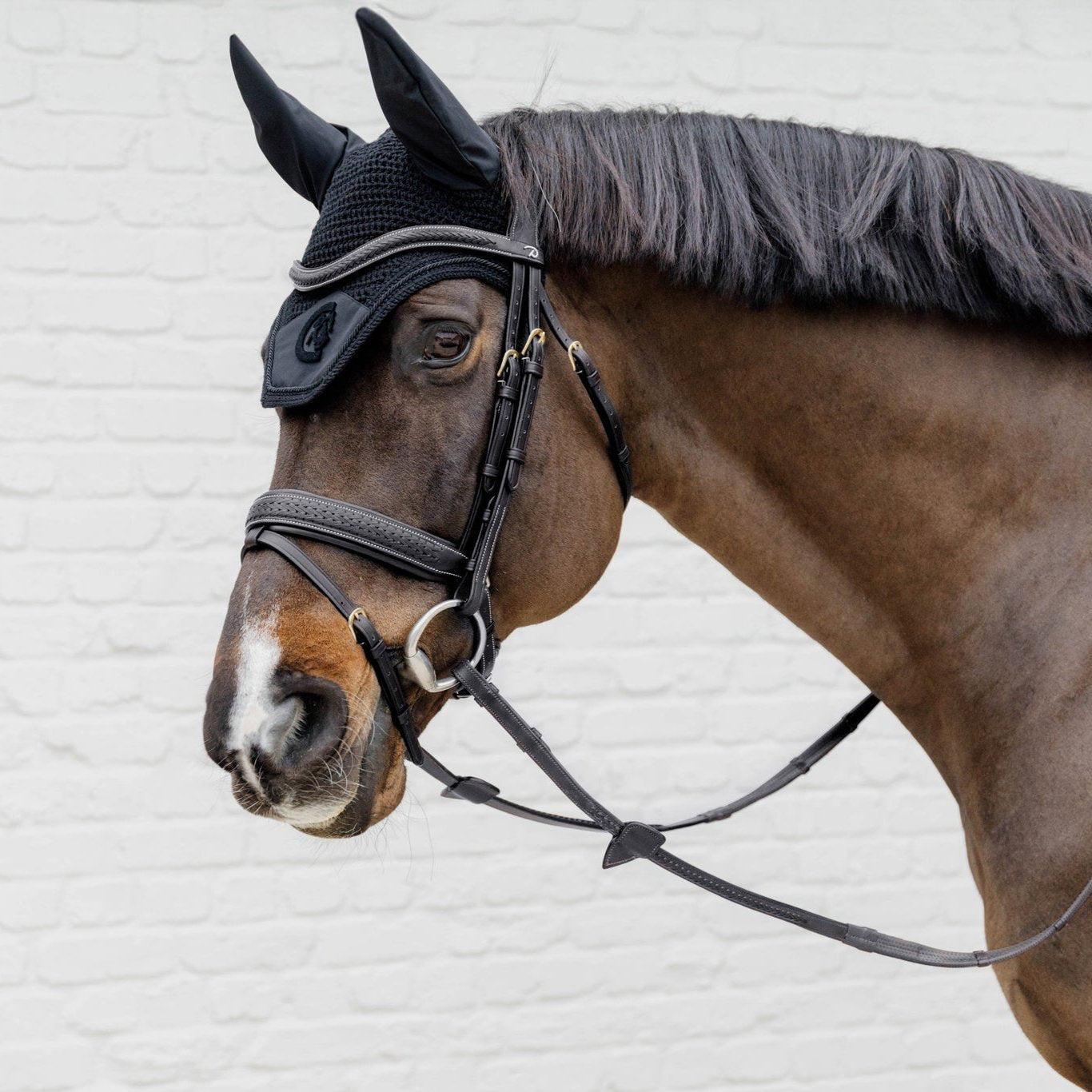 Plaited Flash Noseband Bridle with Pull Back