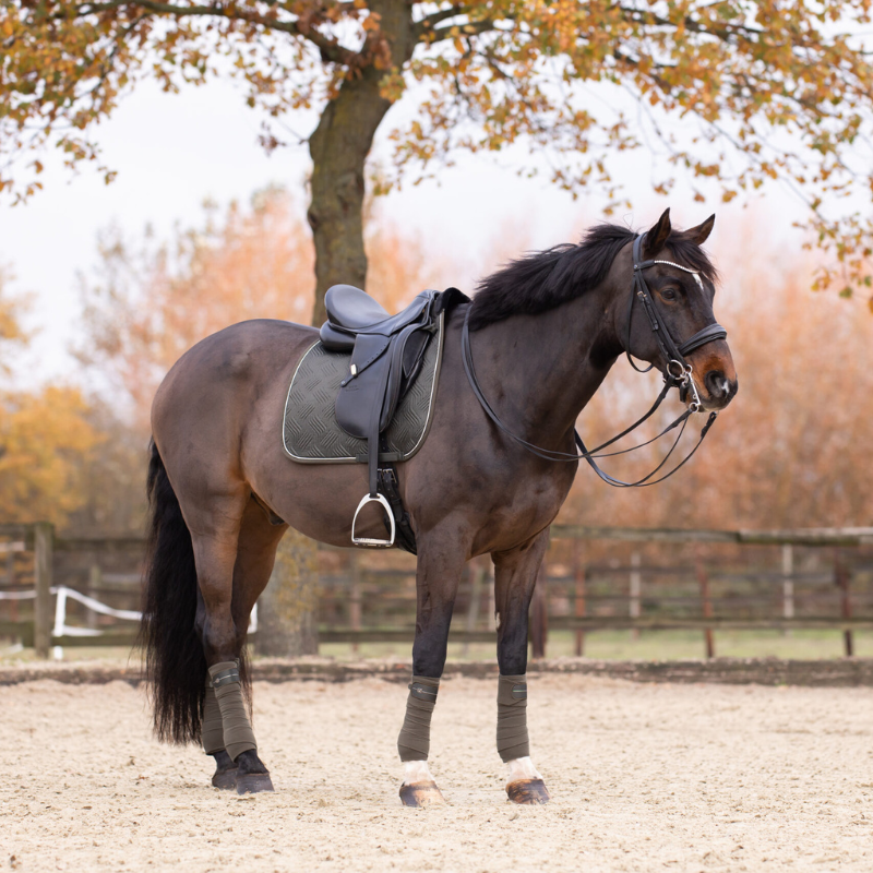 Jamila Dressage Saddle Pad - Seaweed