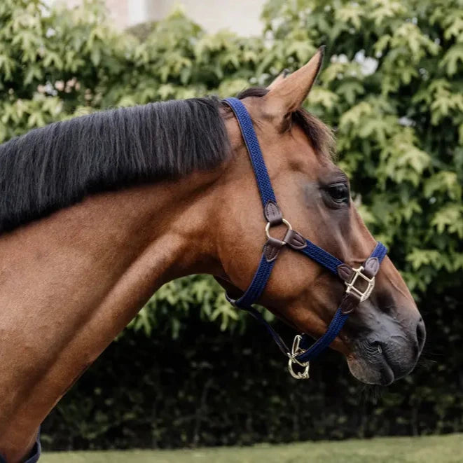 Plaited Nylon Headcollar - Navy