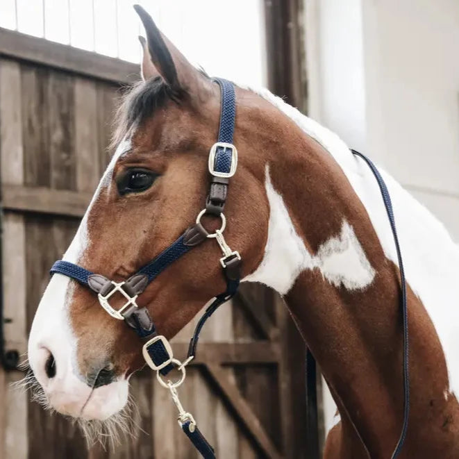 Plaited Nylon Horse Lead - Navy