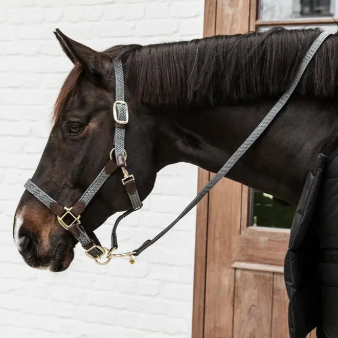 Plaited Nylon Headcollar - Grey