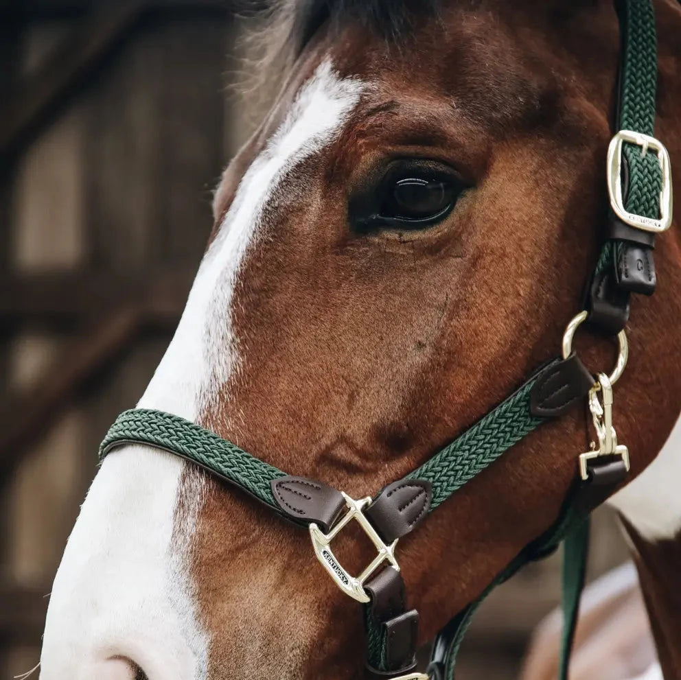 Plaited Nylon Headcollar - Dark Green