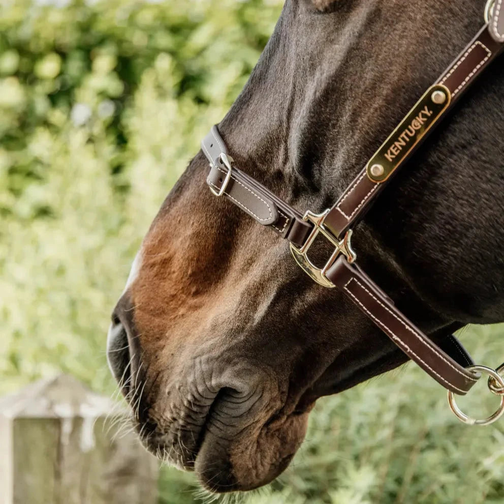 Leather Headcollar Flexible - Brown