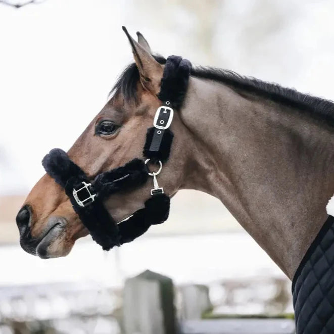 Sheepskin Headcollar - Black