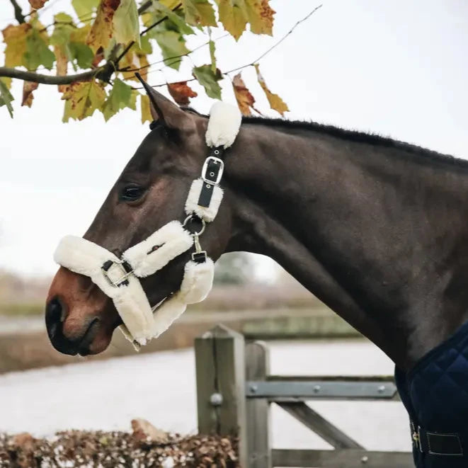 Sheepskin Headcollar - Natural