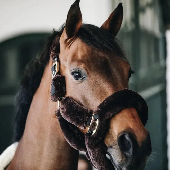 Sheepskin Headcollar - Brown