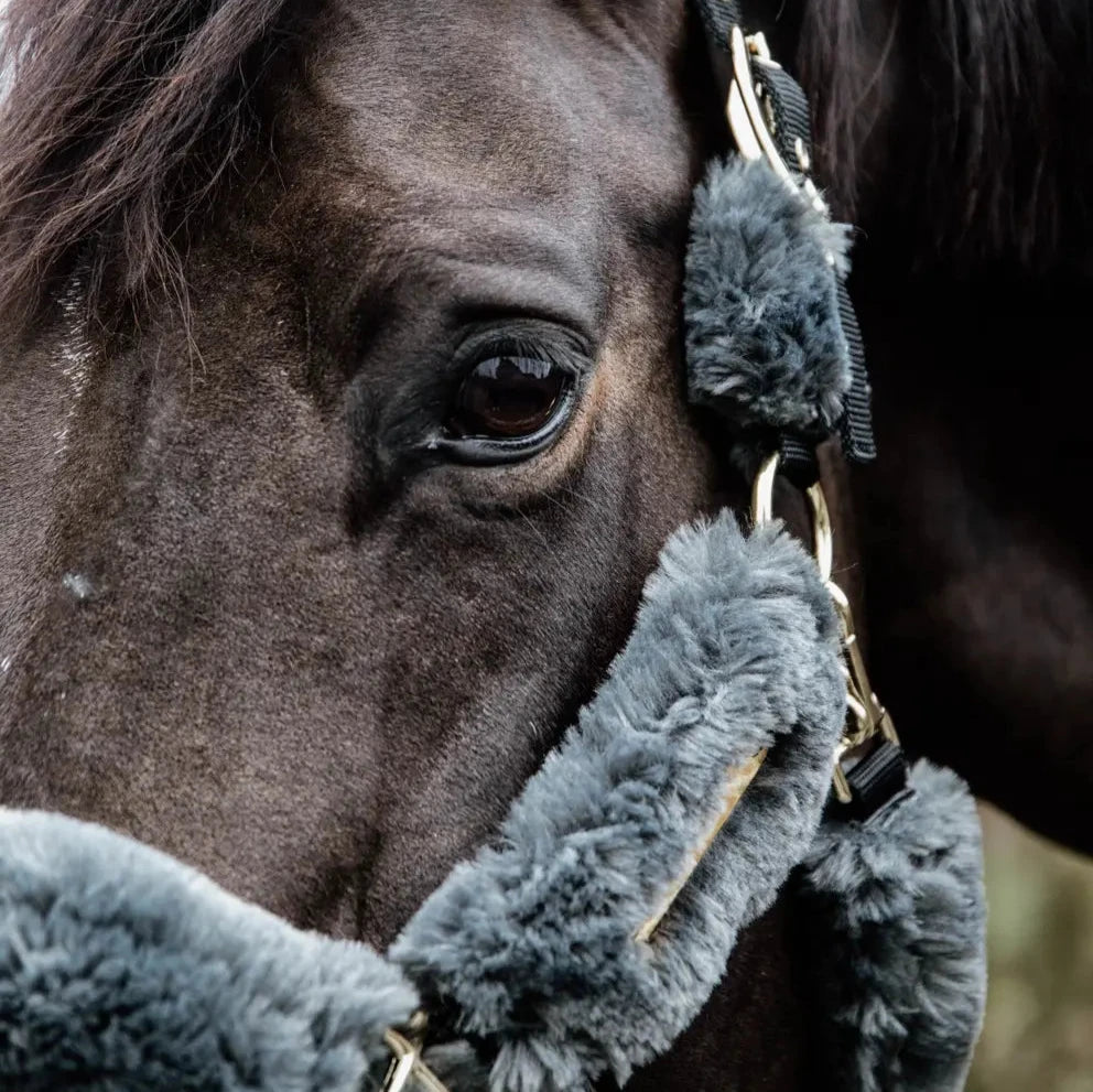 Sheepskin Headcollar - Grey