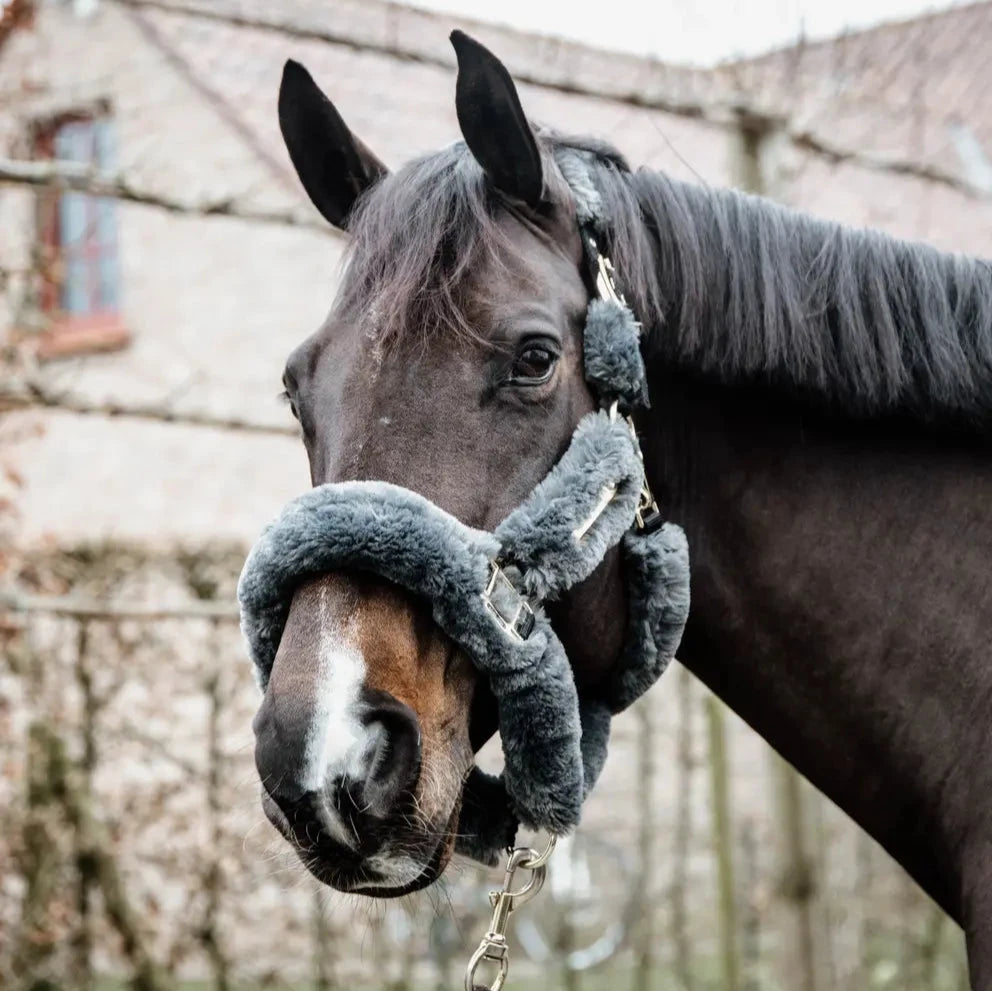 Sheepskin Headcollar - Grey