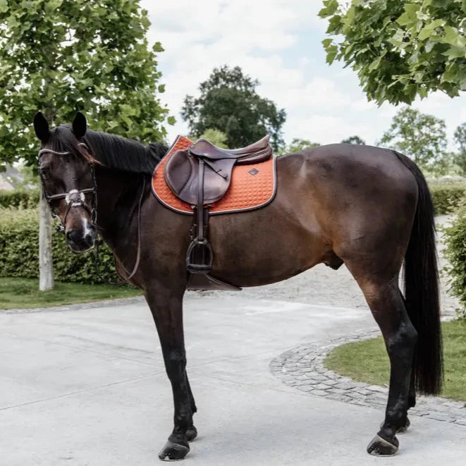 Saddle Pad Classic Leather Jumping - Orange