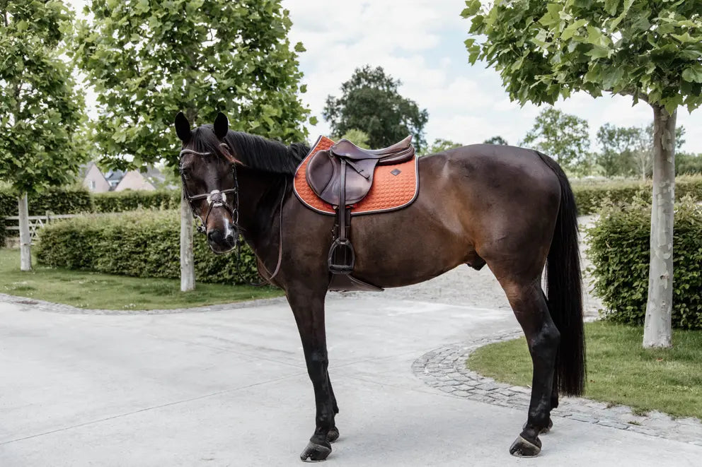 Saddle Pad Classic Leather Jumping - Orange