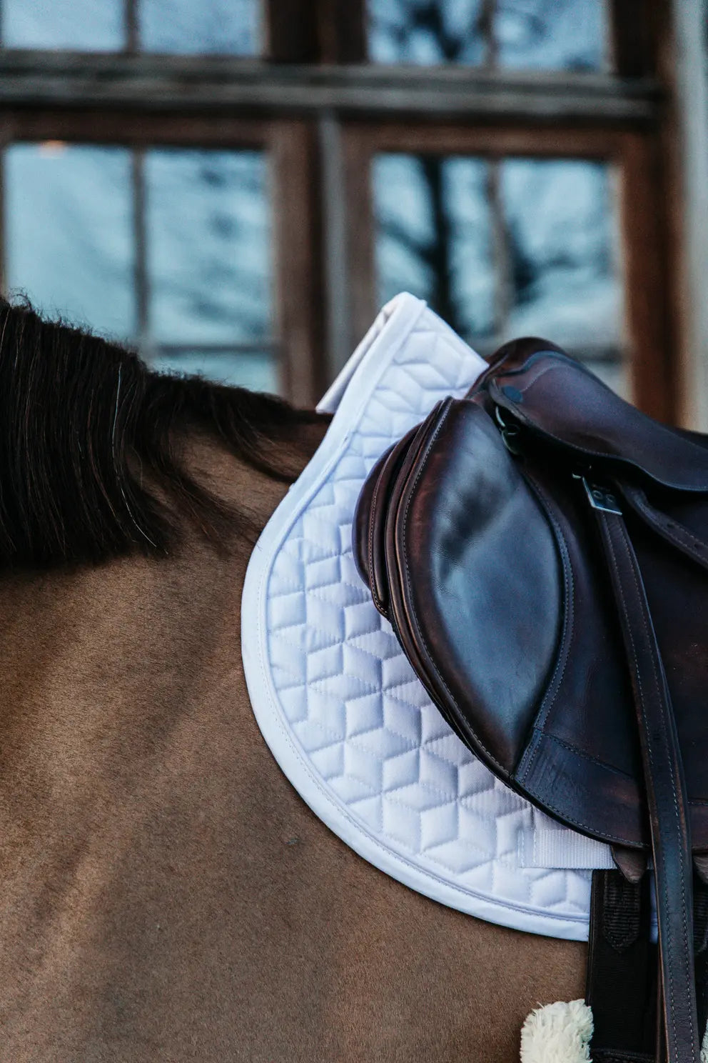 Classic Jumping Saddle Pad - White