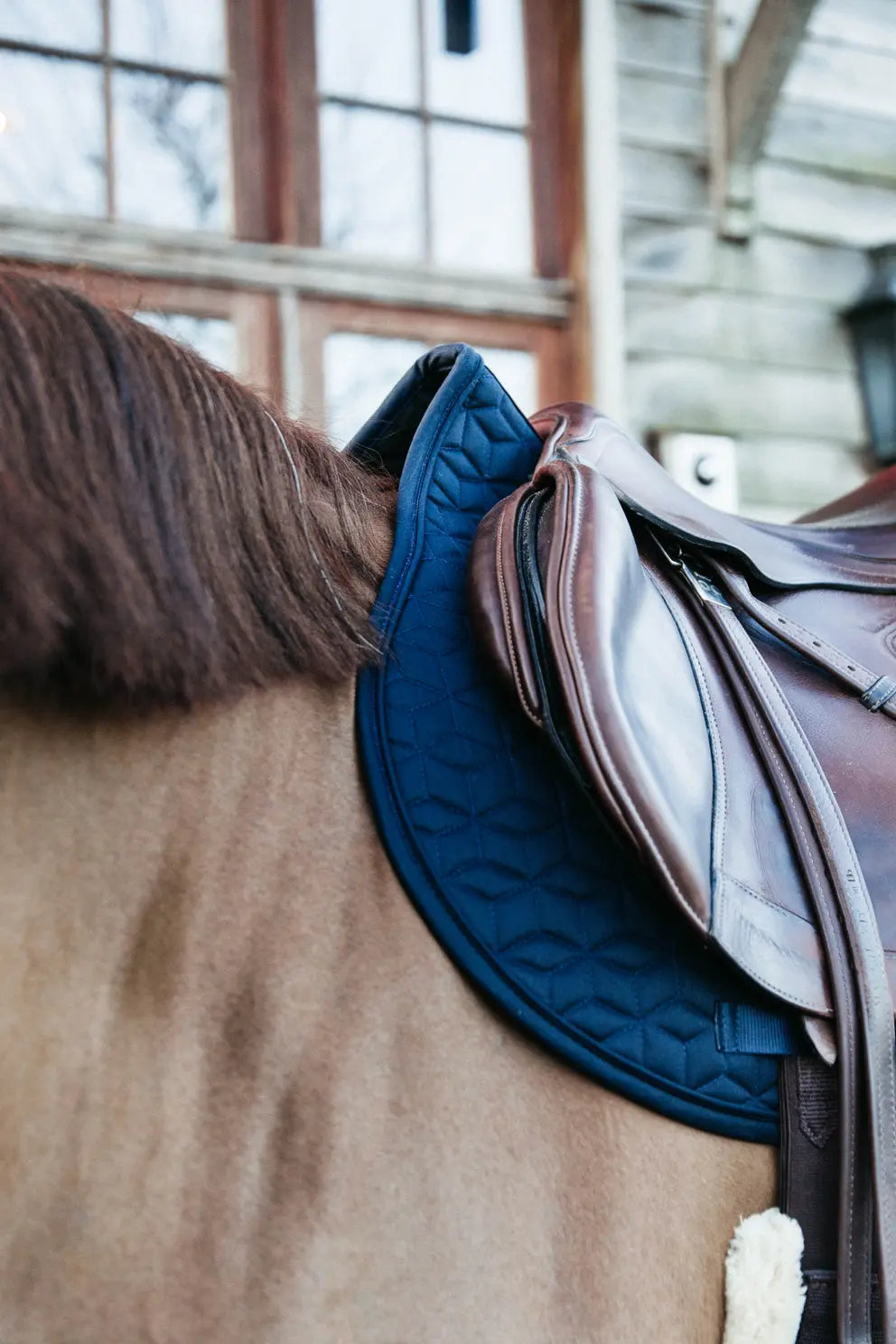 Classic Jumping Saddle Pad - Navy