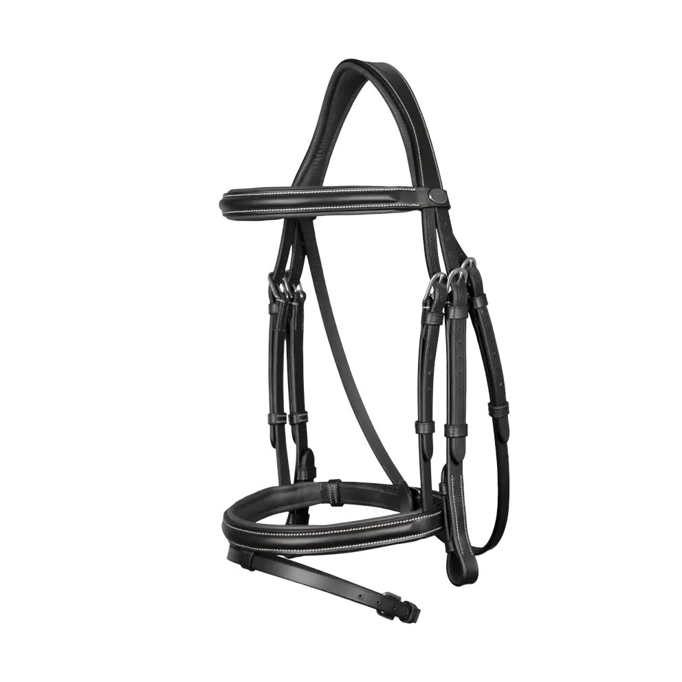Working Collection Flash Noseband Bridle