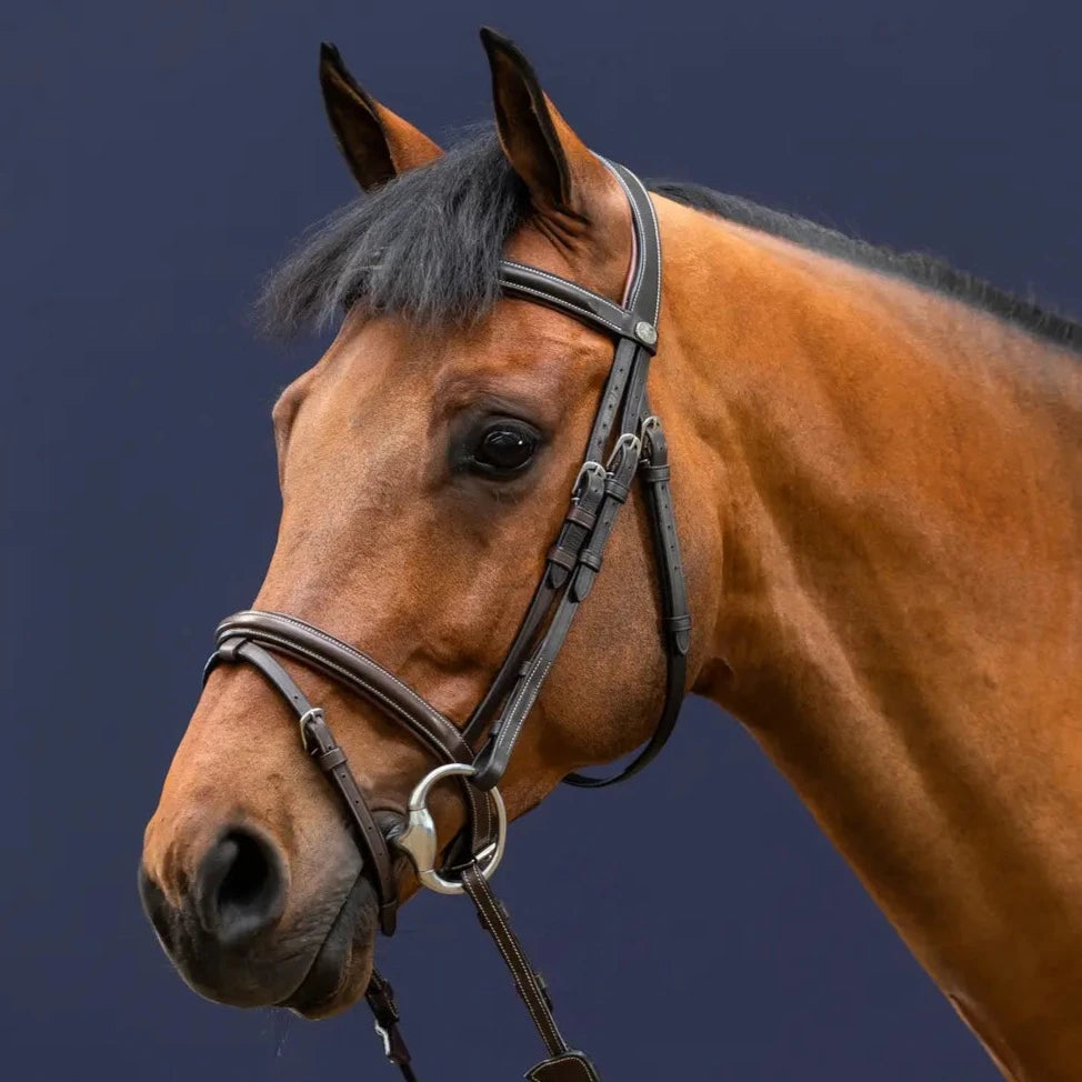 Working Collection Flash Noseband Bridle
