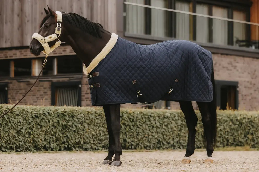 Show Rug - Navy