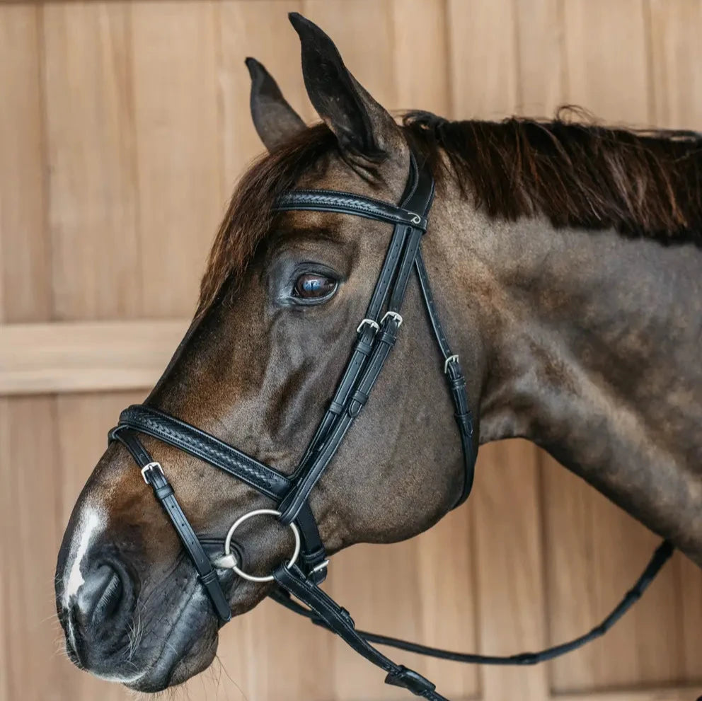 New English Plaited Flash Noseband Bridle