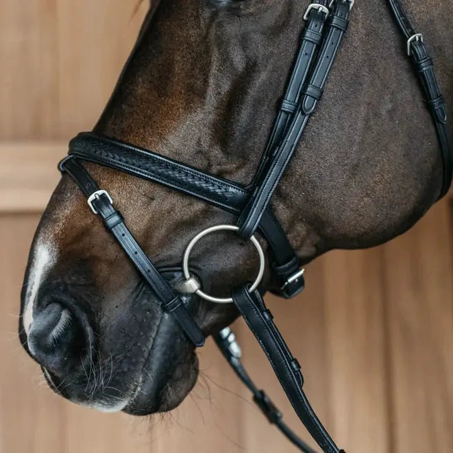 New English Plaited Flash Noseband Bridle