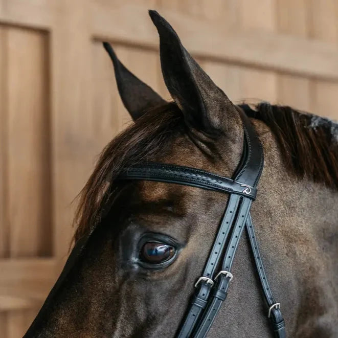 New English Plaited Flash Noseband Bridle