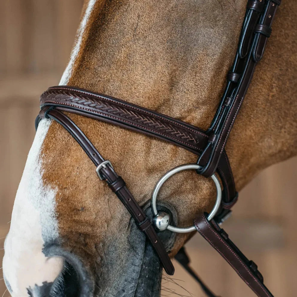 New English Plaited Flash Noseband Bridle