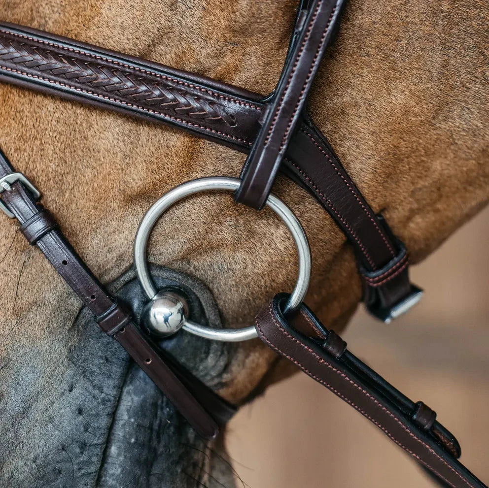 New English Plaited Flash Noseband Bridle