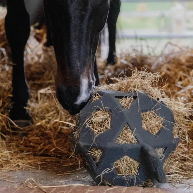 Relax Horse Play & Hay Ball - Grey