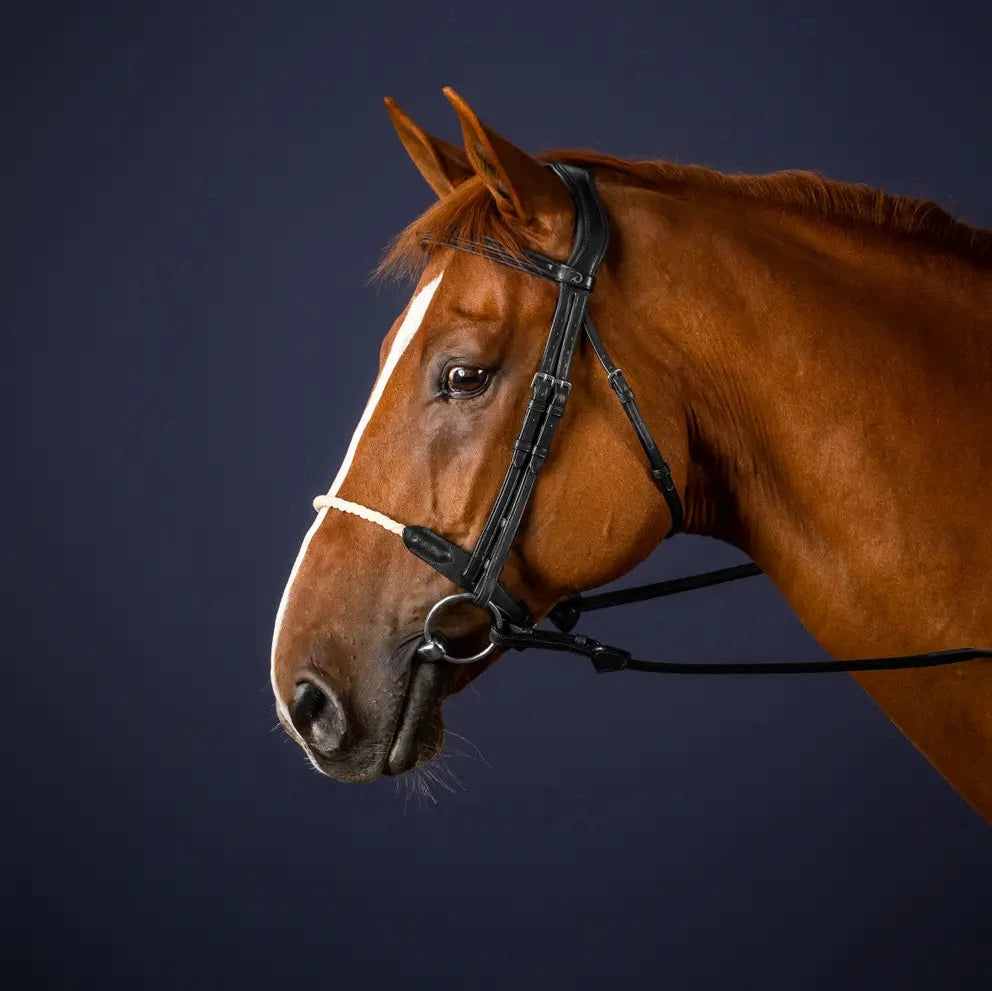 New English Rope Noseband Bridle