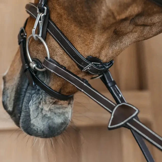 Working Collection Flash Noseband Bridle with Snap Cheekpieces