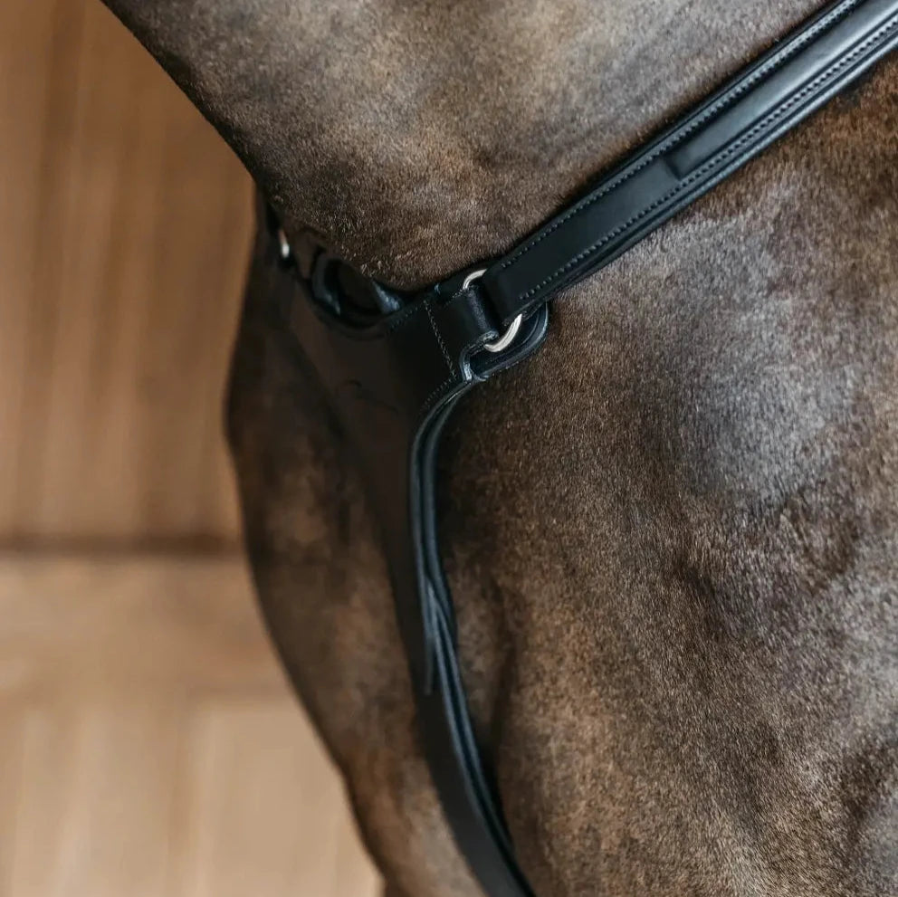 New English 5 Point Breastplate With Elastic