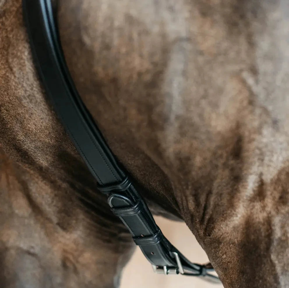 New English 5 Point Breastplate With Elastic