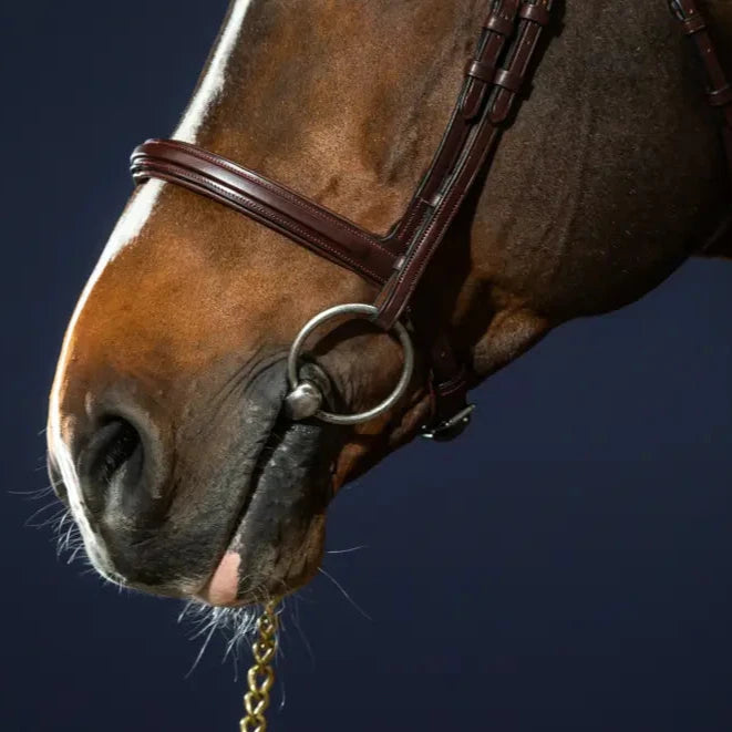 New English Flash Noseband Bridle